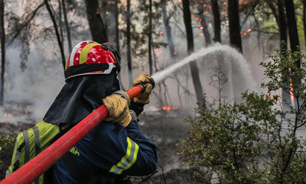 Φωτιά στην Εύβοια: Προσήχθη 17χρονος μαζί με τη μητέρα του για εμπρησμό στα Ψαχνά